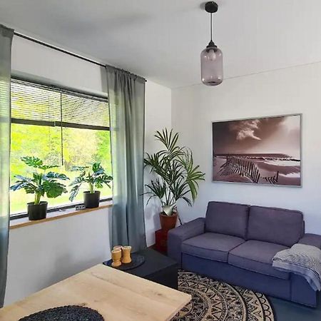 Studio Tussen De Bossen En De Bollenvelden Нордвейкергаут Екстер'єр фото
